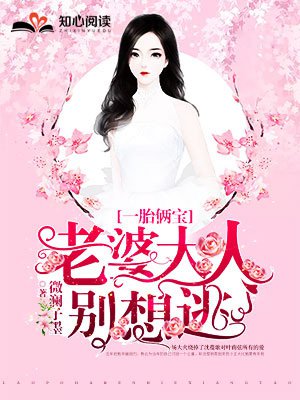 一胎俩宝老婆大人别想逃无弹窗阅读