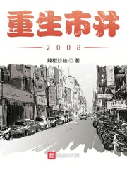 重生市井2008 小说