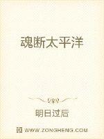 魂断太平洋阿波丸号:日本的泰坦尼克书籍