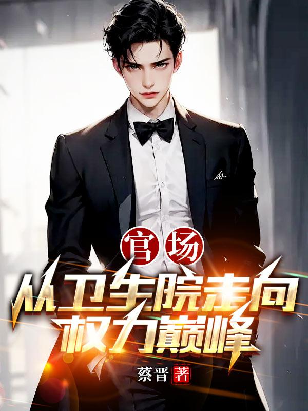 官场:从汉东走向权力巅峰的小说
